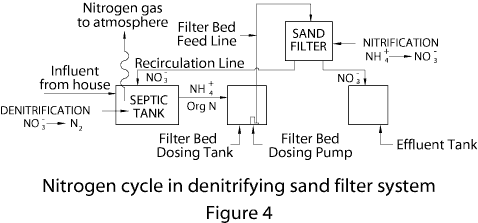 fig 4. Nitrogen Cycle in Denitrifying Sand Filter System